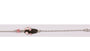 A Kids Teddy Id Braclet