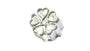 Celtic Charm