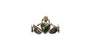 Celtic Charm