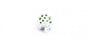 Shamrock Charm