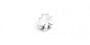 Shamrock Charm