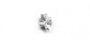 Shamrock Charm