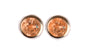 A Champagne 6mm Cubic Zirconia Earring.