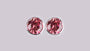 A Pink Cubic Zirconia Earring.