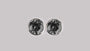 A Black  Cubic Zirconia Earring