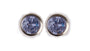 A Sapphire 5mm Cubic Zirconia Earring.