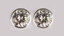 A White Cubic Zirconia Earring