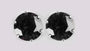 A Black & White Cubic Zirconia Earring.