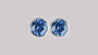 A Sapphire  Cubic Zirconia Earring.
