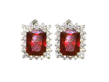 An Garnet & White Cubic Zirconia Earring.