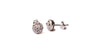 9 CT White Gold Earring.
