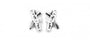 Claddagh Earrings with White Cubic Zirconia