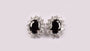 Black Cubic Zirconia Earring