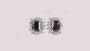 Black Cubic Zirconia Earring