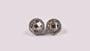A White Cubic Zirconia Earring