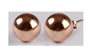 Silver with Rose Gold Plate Earring