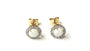 9 CT Yellow Gold Opal Earring.