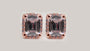 A Silver with Rose Gold Plate Earring