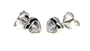 A Kids Heart Cubic Zirconia Silver Earring