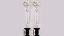 A Black & White Cubic Zirconia Earring.