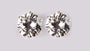 A White Cubic Zirconia Earring
