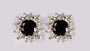 A Black & White Cubic Zirconia Earring.