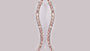 A Pink Cubic Zirconia Earring.