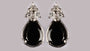A Black & White Cubic Zirconia Earring.