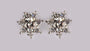 A White Cubic Zirconia Earring