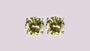 A Peridot & White Cubic Zirconia Earring.5MM
