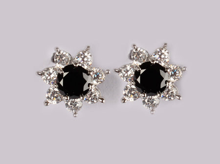 A Black & White Cubic Zirconia Earring