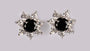 A Black & White Cubic Zirconia Earring