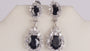 A Black & White Cubic Zirconia Earring.