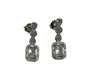 Aquamarine And White Cubic Zirconia Silver Earring