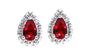 A Ruby & White Cubic Zirconia Earring.