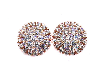 A Silver with Rose Gold Plate Earring