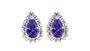 A Amethyst & White Cubic Zirconia Earring.