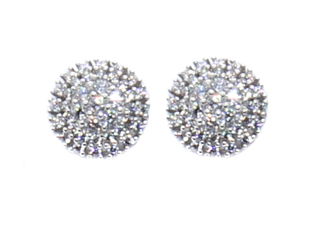 A White & White Cubic Zirconia Earring.