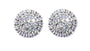 A White & White Cubic Zirconia Earring.