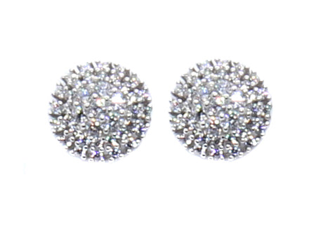 A White & White Cubic Zirconia Earring.