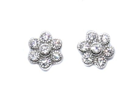 A White & White Cubic Zirconia Earring.