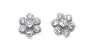 A White & White Cubic Zirconia Earring.