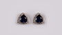 9 CT White Gold Earring.