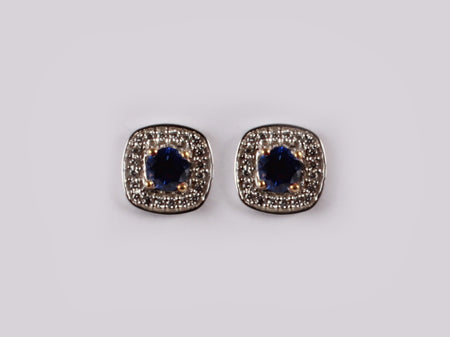 9 CT Yellow Gold Earring.