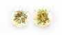 A Peridot & White Cubic Zirconia Earring.