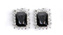 A Black & White Cubic Zirconia Earring.