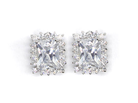 A White & White Cubic Zirconia Earring.