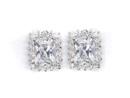 A White & White Cubic Zirconia Earring.