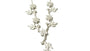 A Silver white CZ Necklace