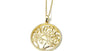 A Yellow Gold Plated Silver White CZ Stone Necklace (Pendant and Chain)